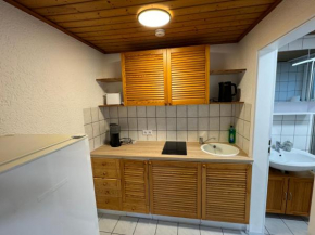 1 Zimmer Apartment in BFH-Untergriesheim